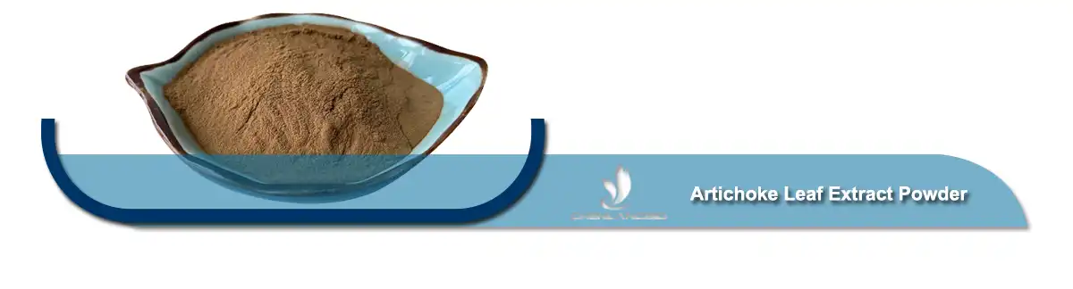 Artichoke Leaf Extract Powder.jpg
